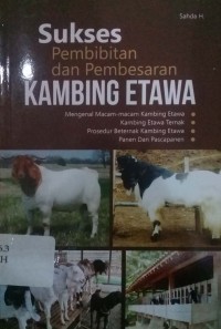 Sukses pembibitan dan pembesaran kambing etawa