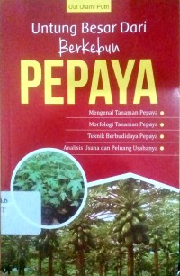 Untung besar dari berkebun pepaya