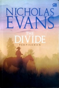 Image of The Divide