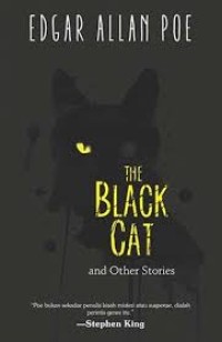 Image of The black cat and other stories