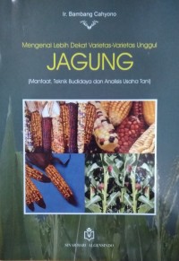 Mengenal Lebih Dekat Varietas-Varietas Unggul Jagung