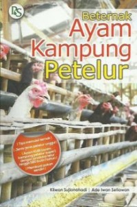 Image of Beternak ayam kampung petelur